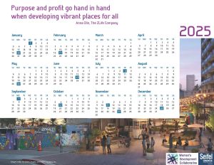 SEIFEL CONSULTING 2025 CALENDAR